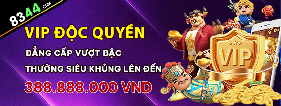 Hình ảnh quảng cáo của 79win hiển thị nền tảng và các lợi ích