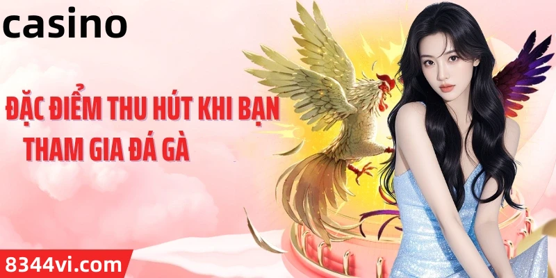 Hình ảnh quảng cáo của 79win hiển thị nền tảng và các lợi ích